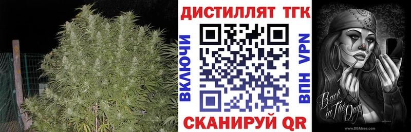 купить закладку  Стародуб  ТГК THC oil 