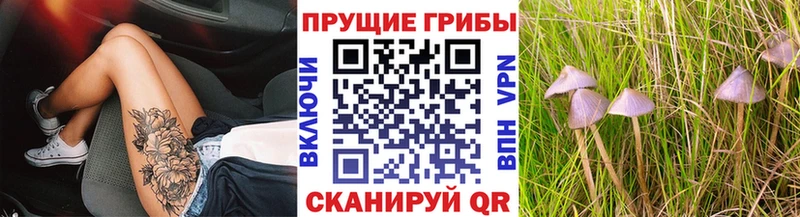 Псилоцибиновые грибы GOLDEN TEACHER  МЕГА tor  Стародуб 